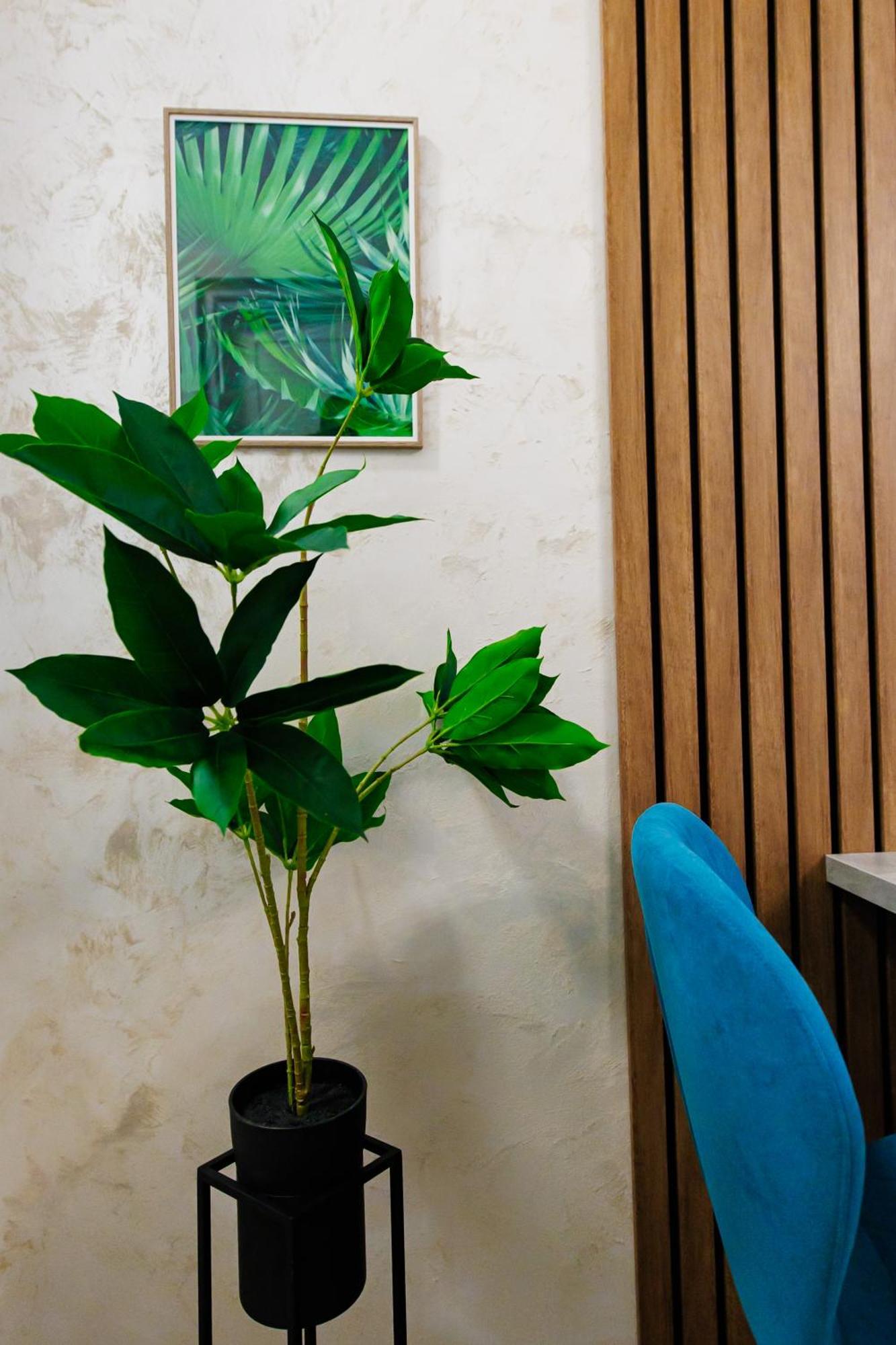 Luxury Lazar Towers Palas Mall Area 雅西 外观 照片